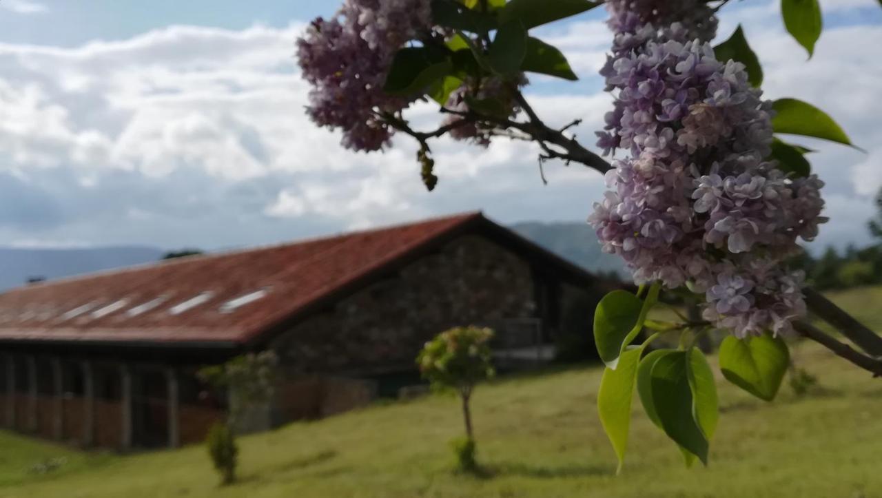Izan Puerta De Gredos Ξενοδοχείο El Barco de Ávila Εξωτερικό φωτογραφία